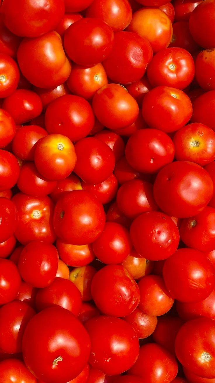 Tomatoes