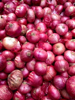 Onions