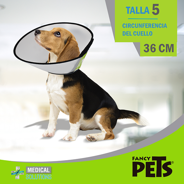 MS COLLAR ISABELINO TALLA 5 (36 CM)