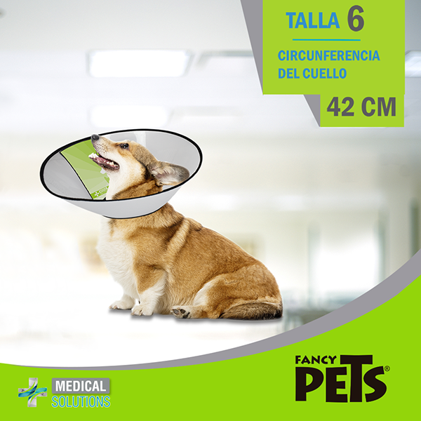 MS COLLAR ISABELINO TALLA 6 (42 CM)
