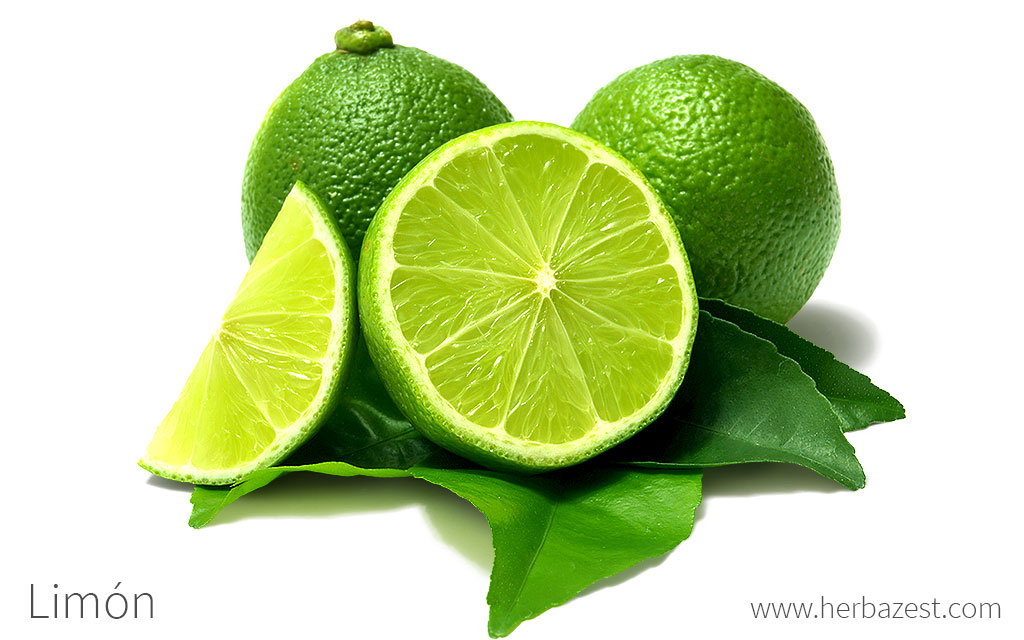 Esencia Limon Fresco_0