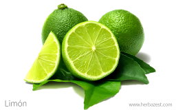 Esencia Limon Fresco