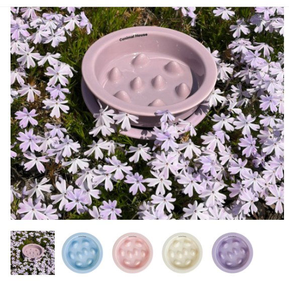 Slow Feeder Bowl ONLY - Ceramic_0