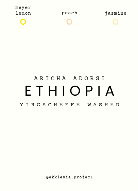 Ethiopia Aricha Adorsi