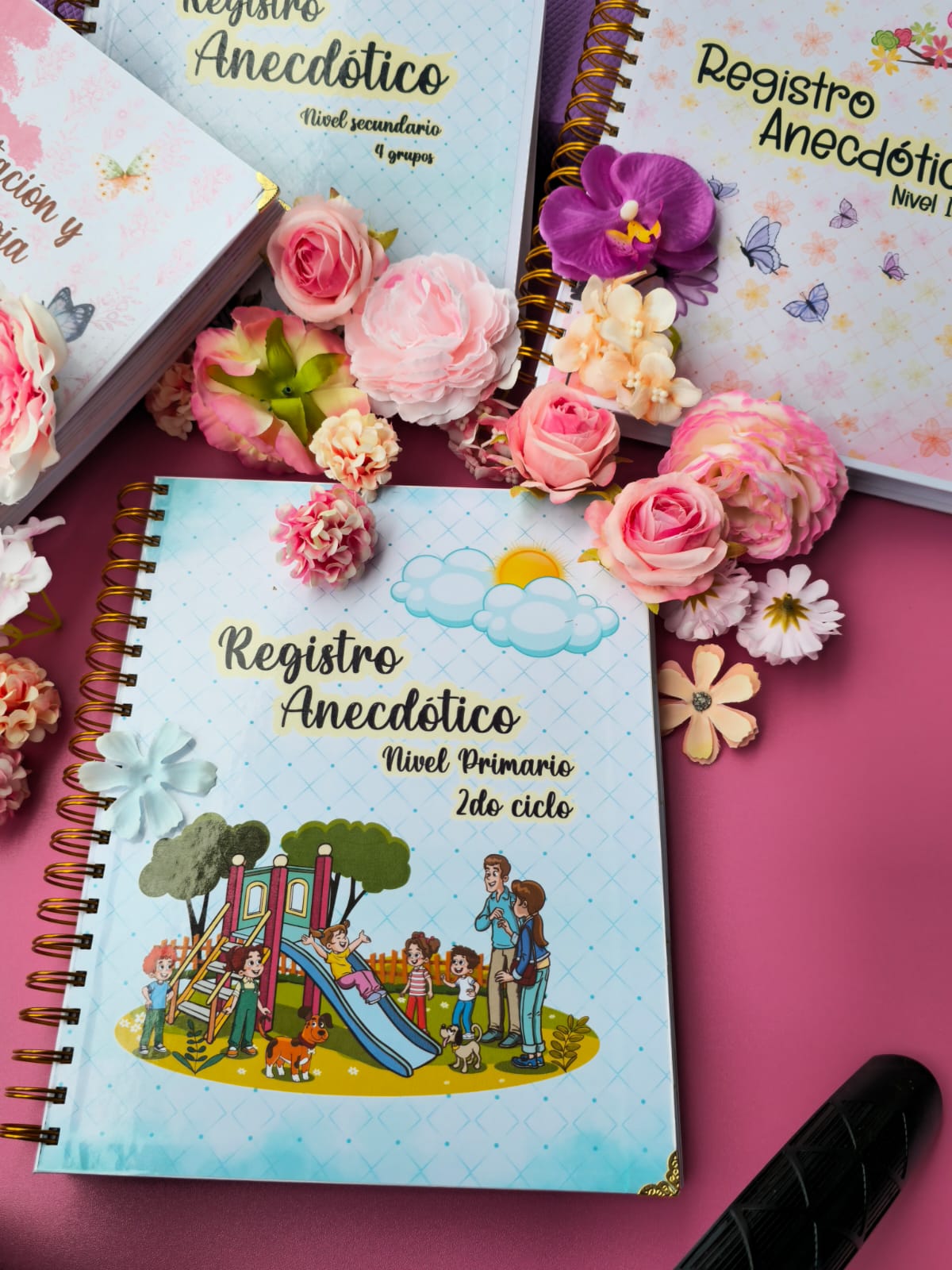 Registro Anecdótico de 2.º ciclo de Primaria, 390 Páginas_1