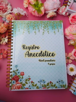 Registro anecdótico de secundaria