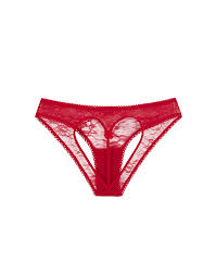 Panty