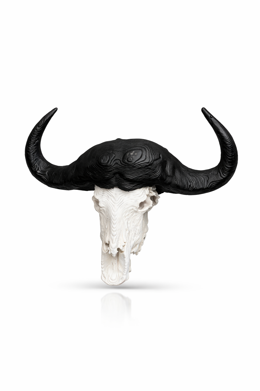 Animal Skulls Cape Buffalo Wall Mounts_0