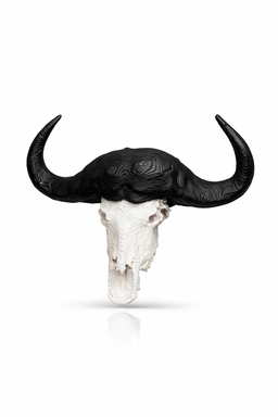 Animal Skulls Cape Buffalo Wall Mounts