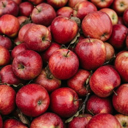 Apples