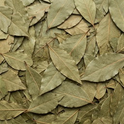 Bay Leaves