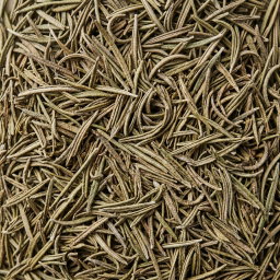 Rosemary