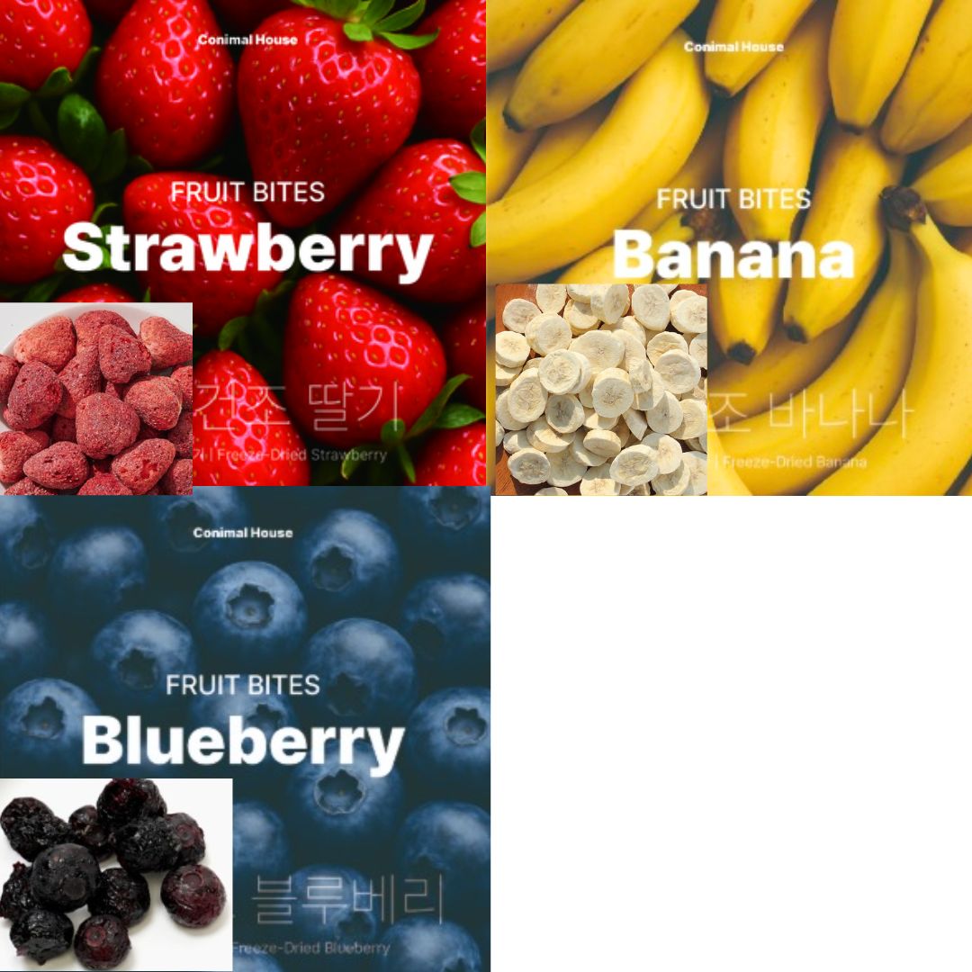 CONIMAL HOUSE - Freeze Dried REAL WHOLE KOREAN FRUITS Human Grade