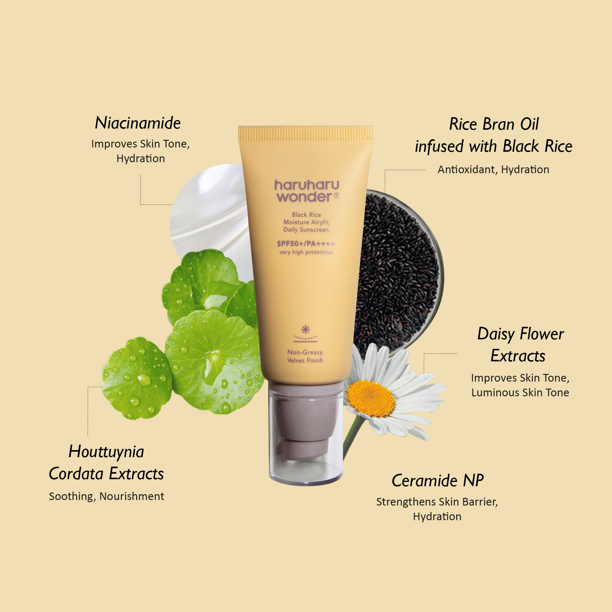 Haruharu Black Rice Moisture Airyfit Daily Sunscreen_2
