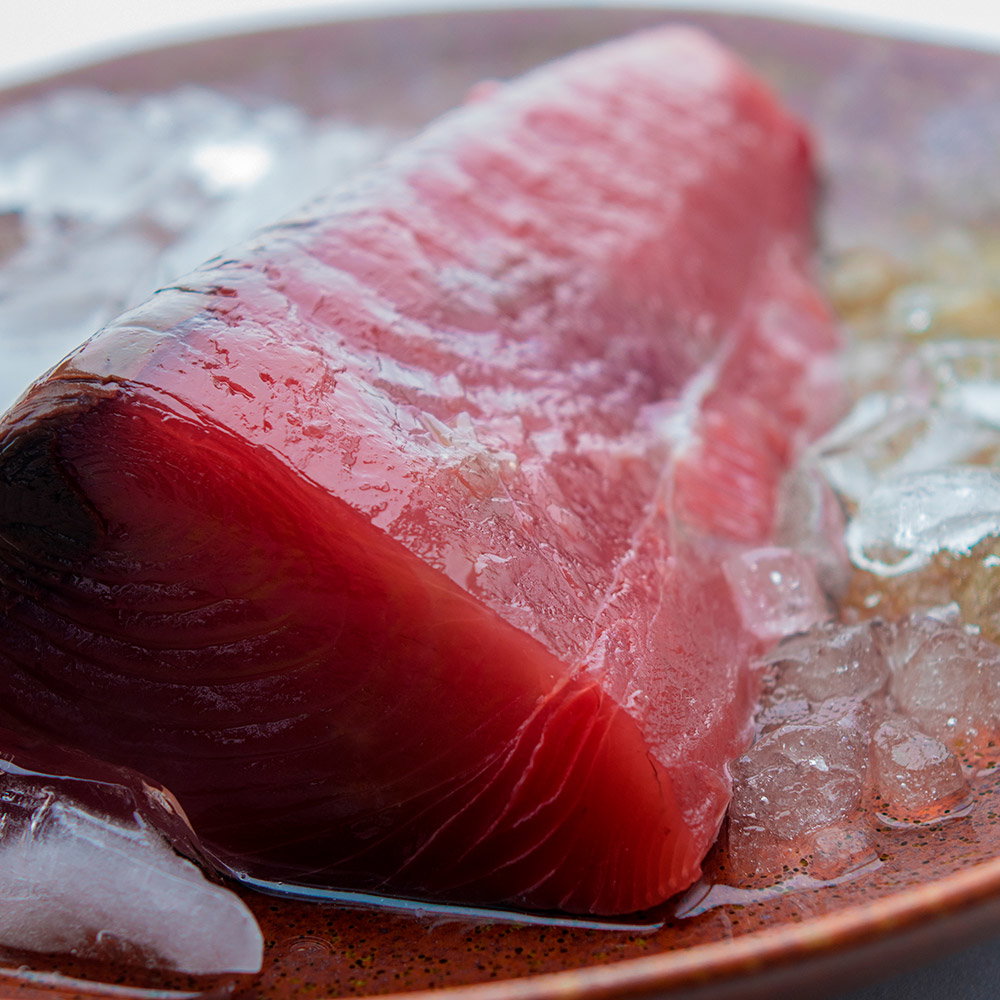 Bonito