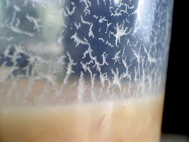 Micro Worms