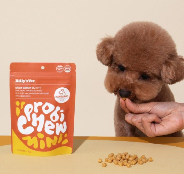 Buy 2 FREE 1, Short Expiry Sale Probiotic MINI Chew_1