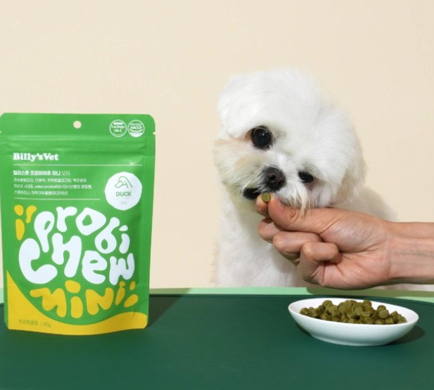 Buy 2 FREE 1, Short Expiry Sale Probiotic MINI Chew_0