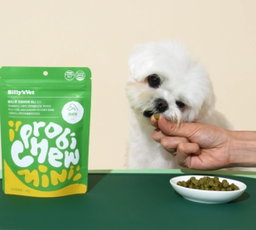 Buy 2 FREE 1, Short Expiry Sale Probiotic MINI Chew