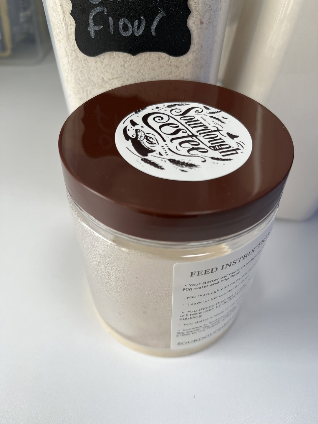 Live Sourdough Starter 