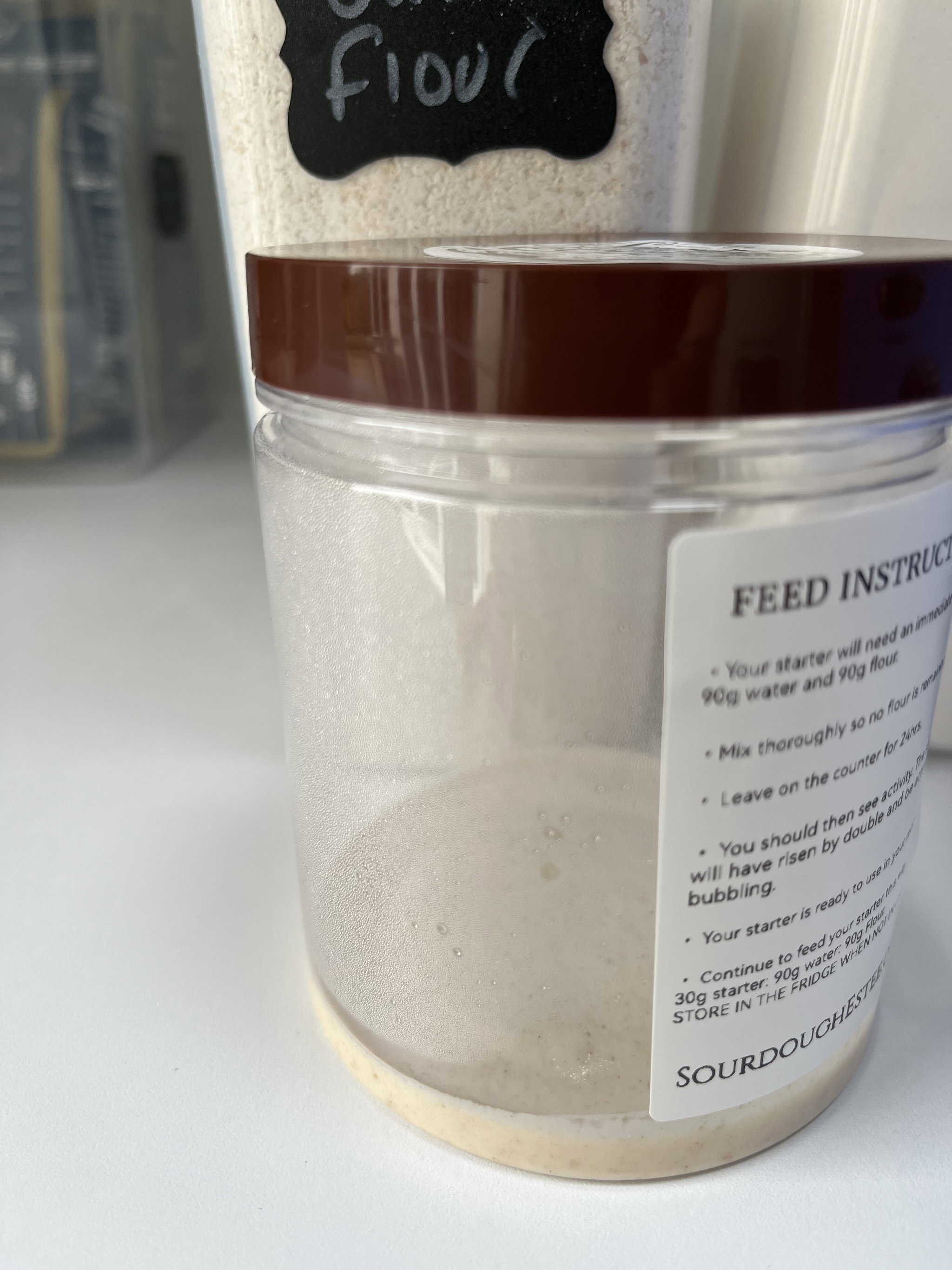 Live Sourdough Starter _1