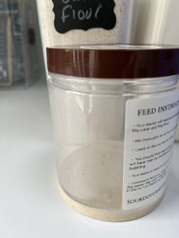 Live Sourdough Starter 