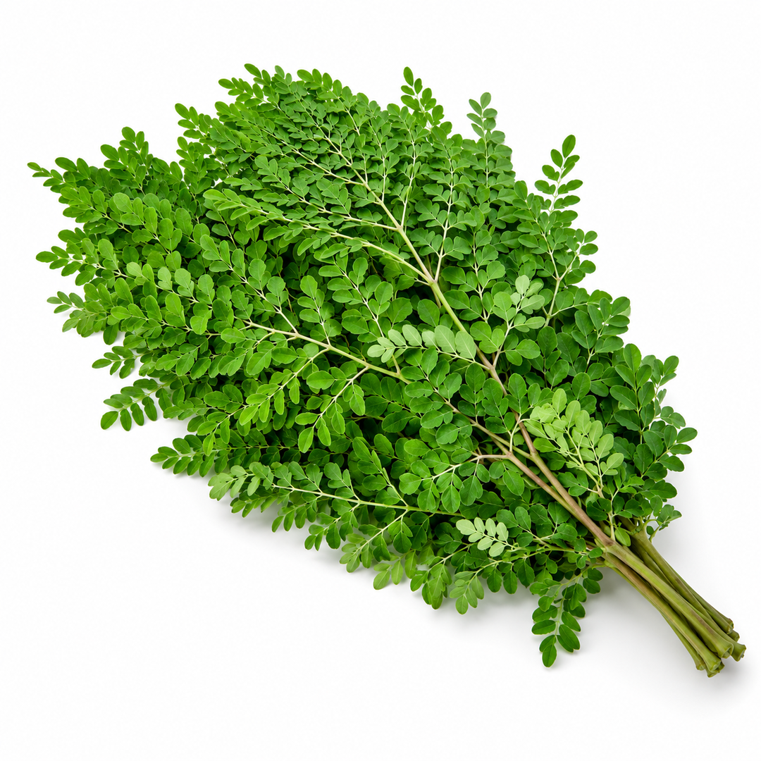 Drumstick Leaves