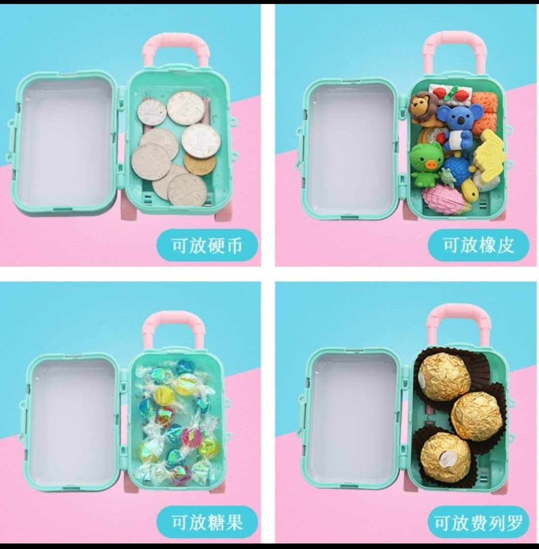 Mini Suitcase_0