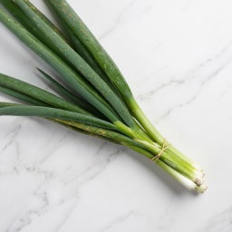 Spring Onion