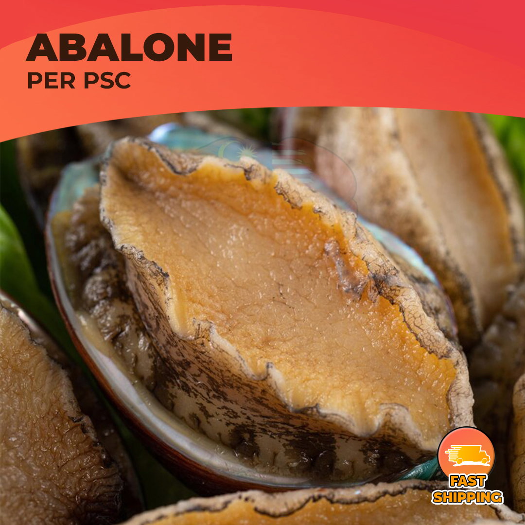 Abalone_0
