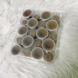 GMS Premium Dasangam Aromatic Cup Sambrani