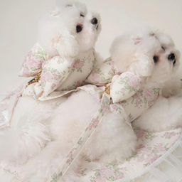 MissPet Rose harness
