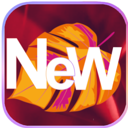 NOUVEAUTÉ