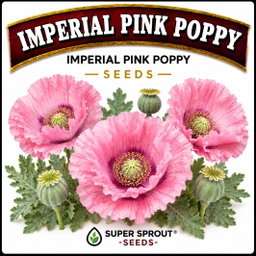 🌸IMPERIAL PINK POPPY🌸 x 100+ seeds
