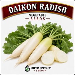 🌱DAIKON RADISH🌱 x 50+ seeds