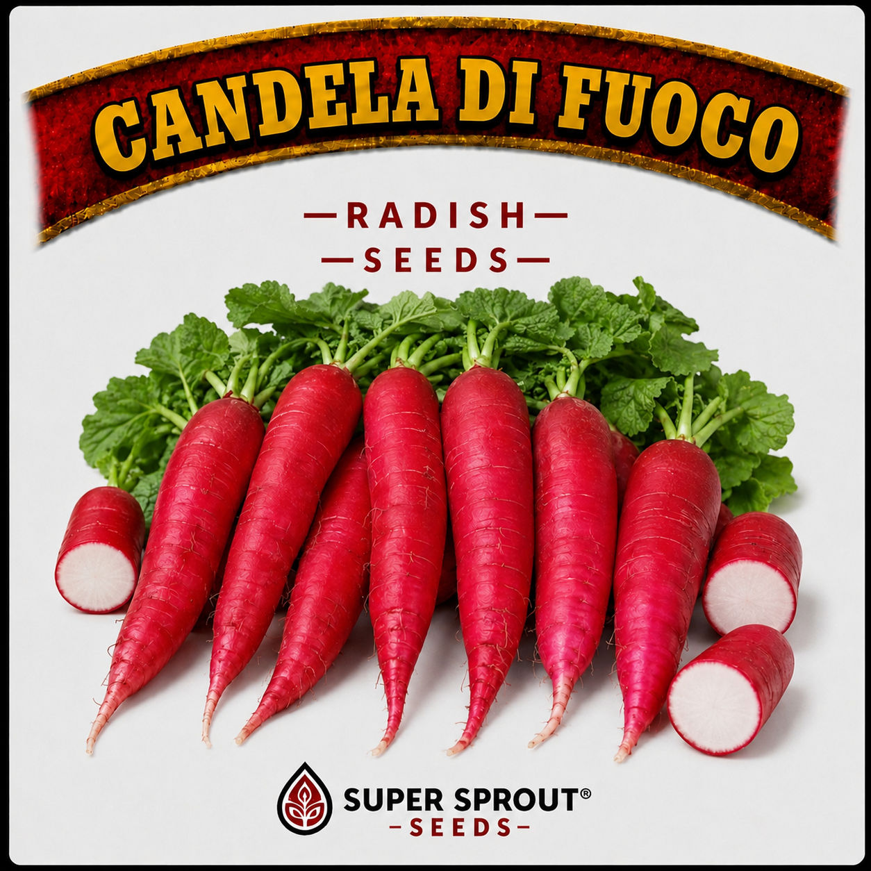 Radish - Candela Di Fuoco x 45+ organic seeds