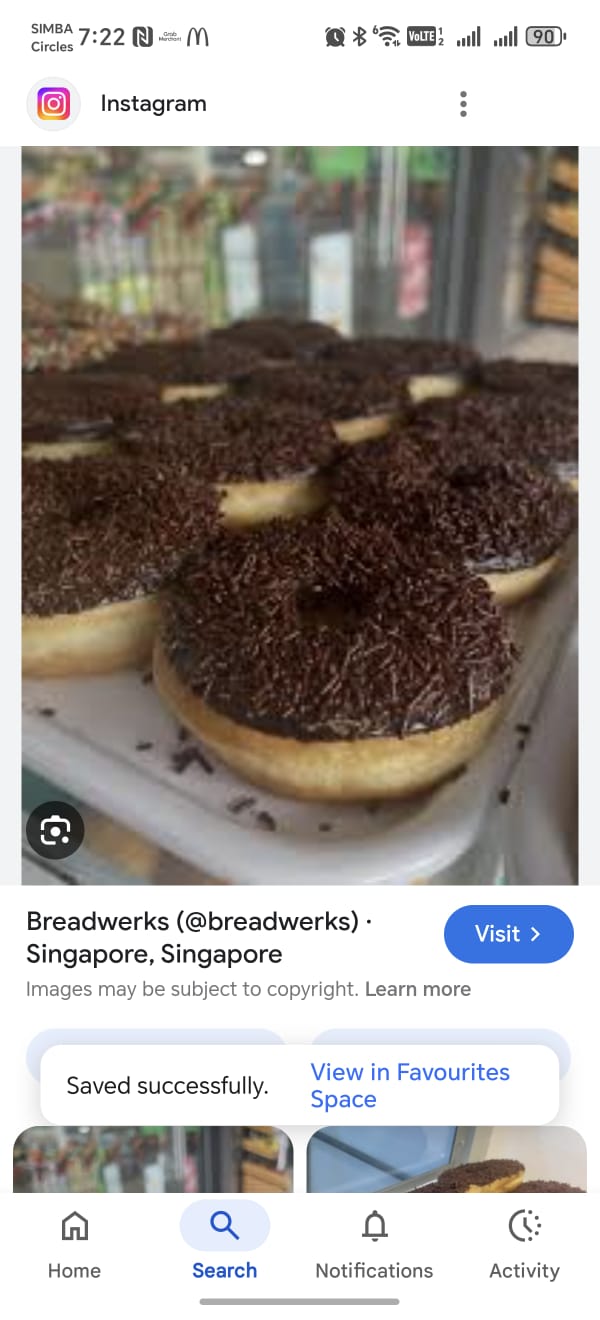 COATED DONUT_1