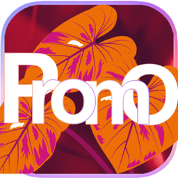 PROMO