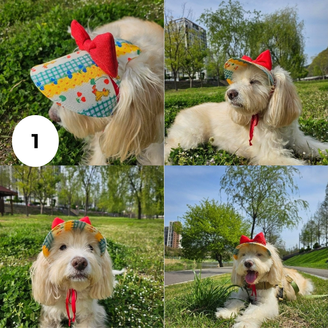 Handmade Pet Hat
