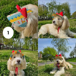 Handmade Pet Hat