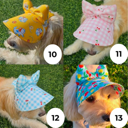 Handmade Pet Hat