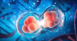 Proactive Molecular Support for Routine Mechanical Stress