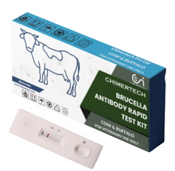 Bovine Brucella Milk Antibody Rapid Test Strip 1 Test