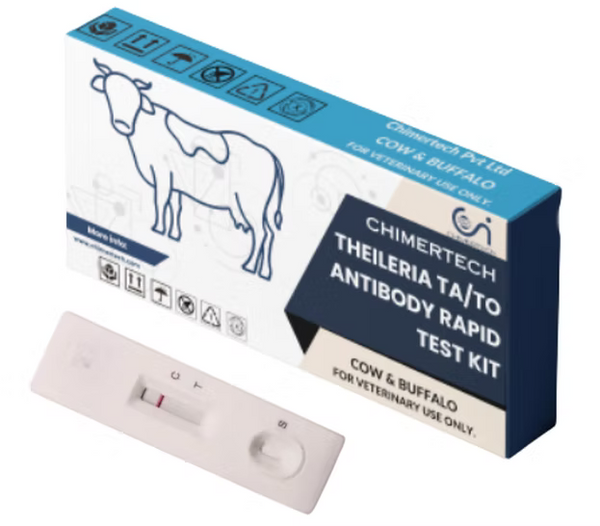 Bovine Theileria Ta/To Antibody Rapid Test Kit 20 Test