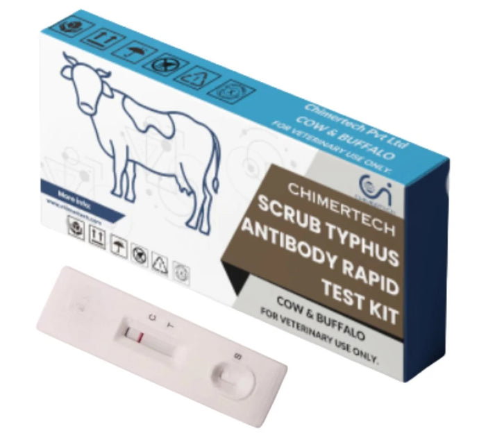 Bovine Scrub Typhus Antibody Rapid Test Kit 20 Test_0