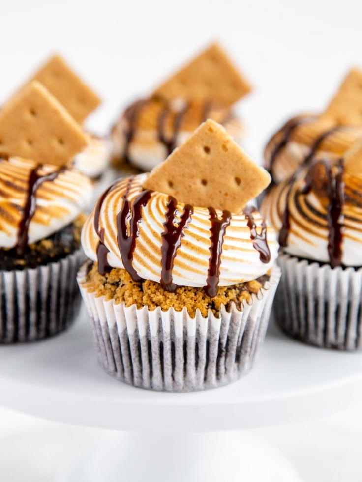Smores Cupcakes 