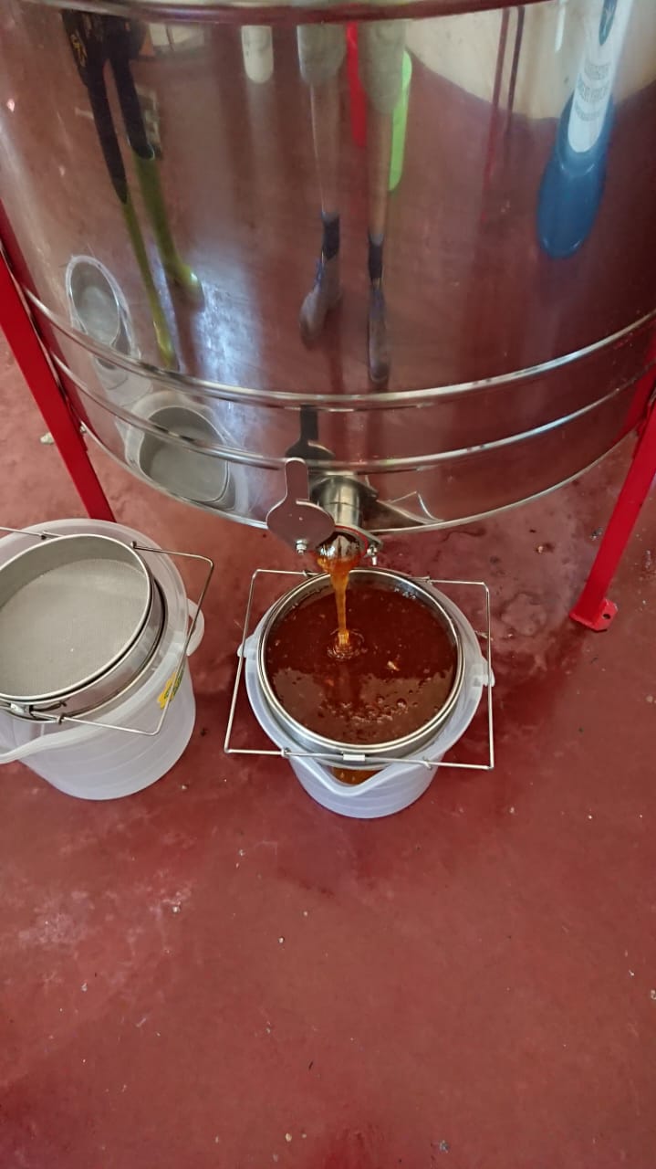 500g Raw honey