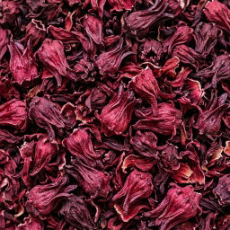 hibiscus