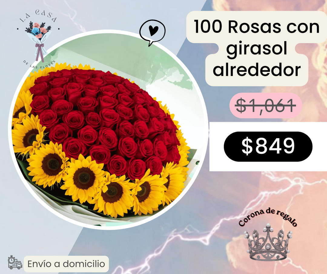 100 Rosas con girasol alrededor