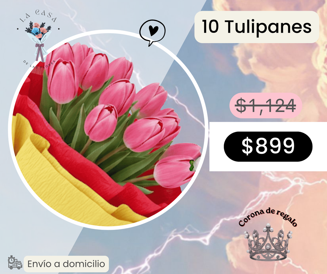 10 Tulipanes